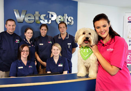 Coronation Street’s Chesney joins Vets4Pets’ 10th Annual Congress awards