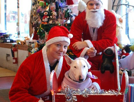 Santa Paws brings Christmas to canines