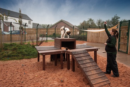 Dogs Trust works with Marmax to improve sustainability