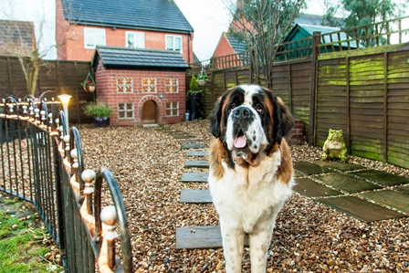 More Th>n reveals Pet Pad of the Year