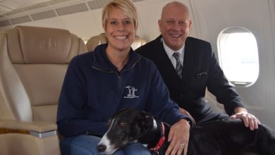 Greyhound charity partners with airline to raise awareness