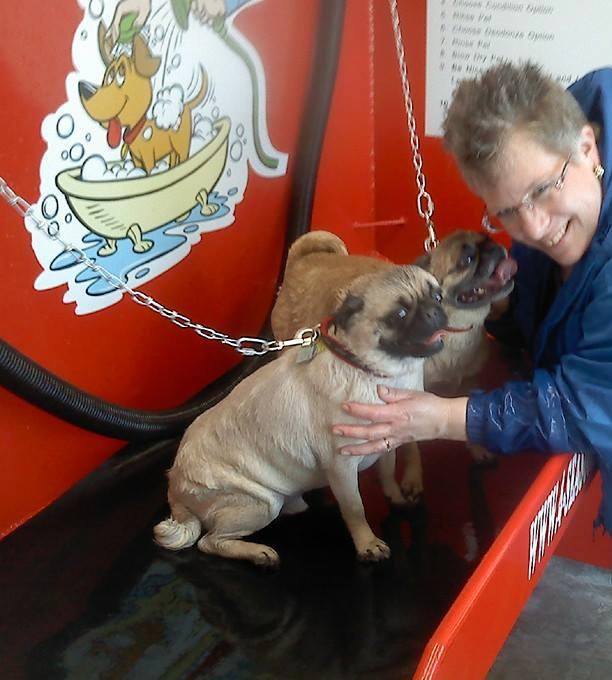 Macs DIY Dog Wash Reaches the UK