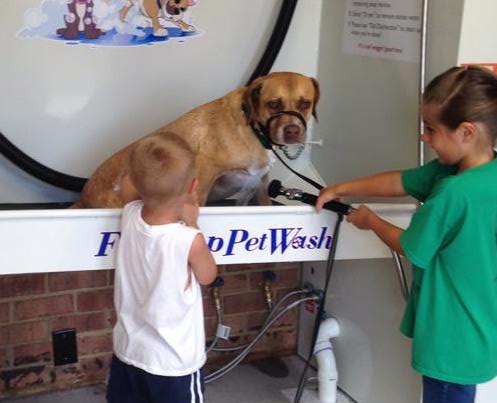 Macs DIY Dog Wash Reaches Europe