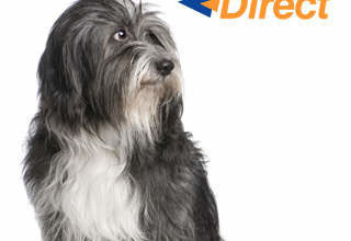 Christies Global Win Best Pet Care Product Award 2014