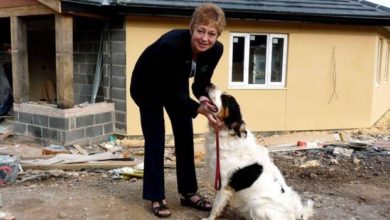 Animal Charity Appeal Reaches £200,000