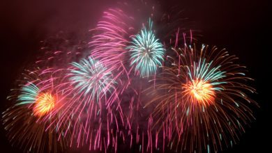 RSPCA Helps Fight Firework Fear
