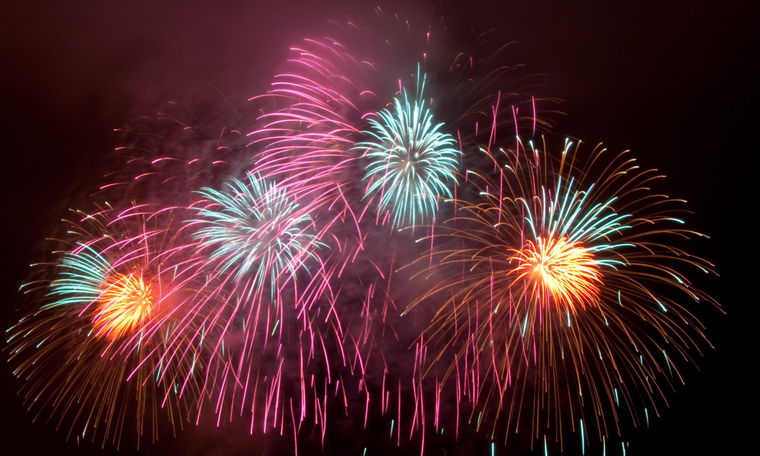 RSPCA Helps Fight Firework Fear