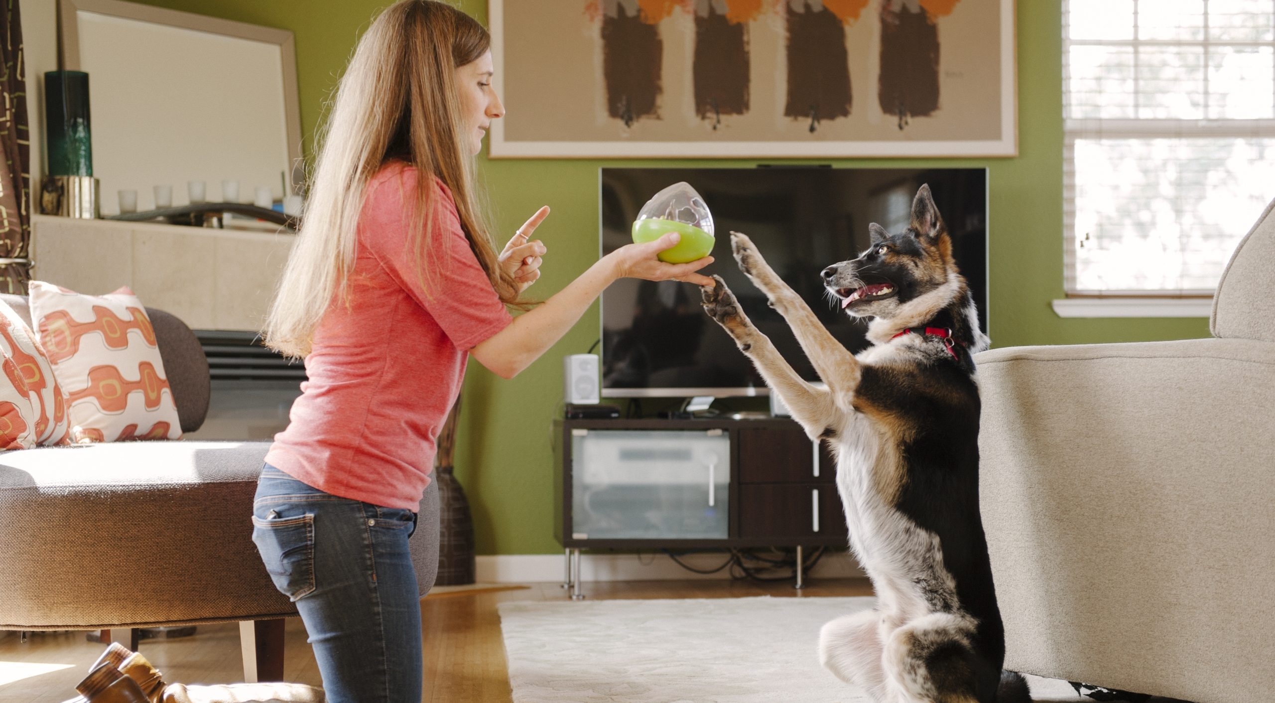 Crate Ideas’ Chic, Caring Pet Products For the Stylish Home