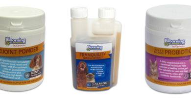 Blooming Pet Products offer supplements with 30 years experience of development