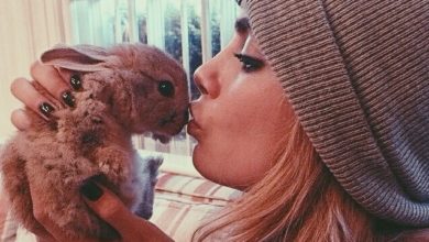 Model Cara Delevingne Launches New Campaign To Show Pets Are Not Just For Christmas