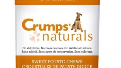 BSB Products Launch 100% Natural Sweet Potato Treats into UK Market