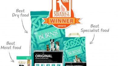 Burns Has The Winning Formula – Again!