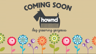 Butch & Bess set to rebrand as HOWND