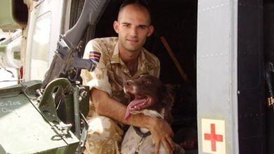 Army Launches Reserve Recruitment Campaign to Highlight Part-Time Veterinary Roles