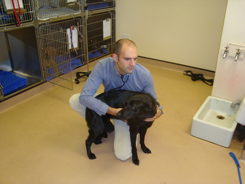 British Army Reserves_Vets (2)