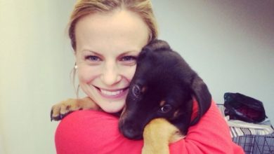 Vet‘s Kitchen Brings Novel Approach to Grain-Free