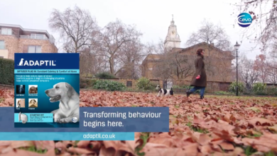 New Adaptil® TV Ad With a Focus on Dog Behaviour Launches in Run Up to Crufts