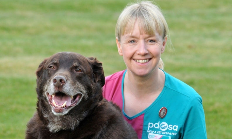 Pet Obesity on the Rise, says Charity