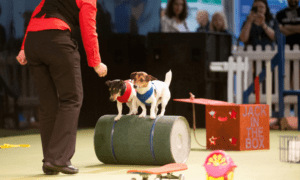 Screen Shot 2015-04-24 at 10.25.39