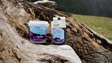 ‘Billy No Mates’ Takes Everyone by Surprise!