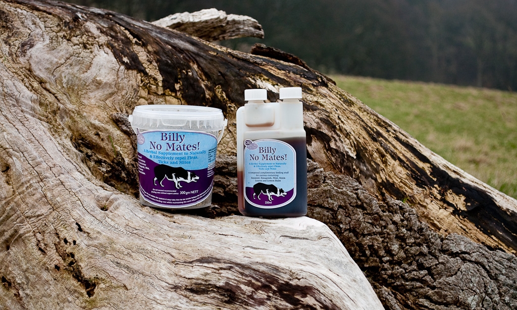 ‘Billy No Mates’ Takes Everyone by Surprise!