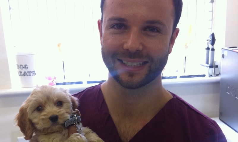 New Status for Derby Vet | Post New Status for Derby Vet | Post