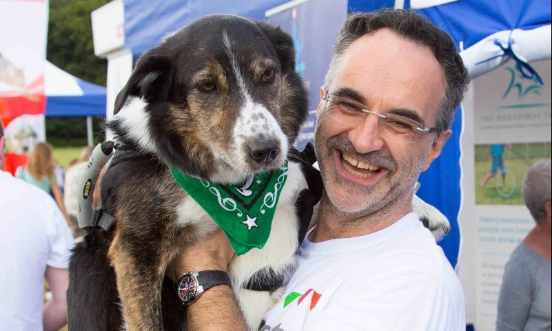 DogFest Reveals Sponsor Line Up