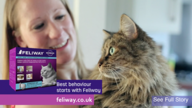 New Feliway® TV advertising campaign