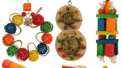 Northern Pet Trade introduces avian toys