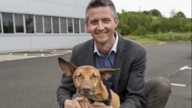 Vets Now launches telephone triage centre