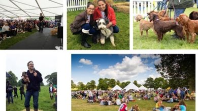 Success for DogFest in Cheshire