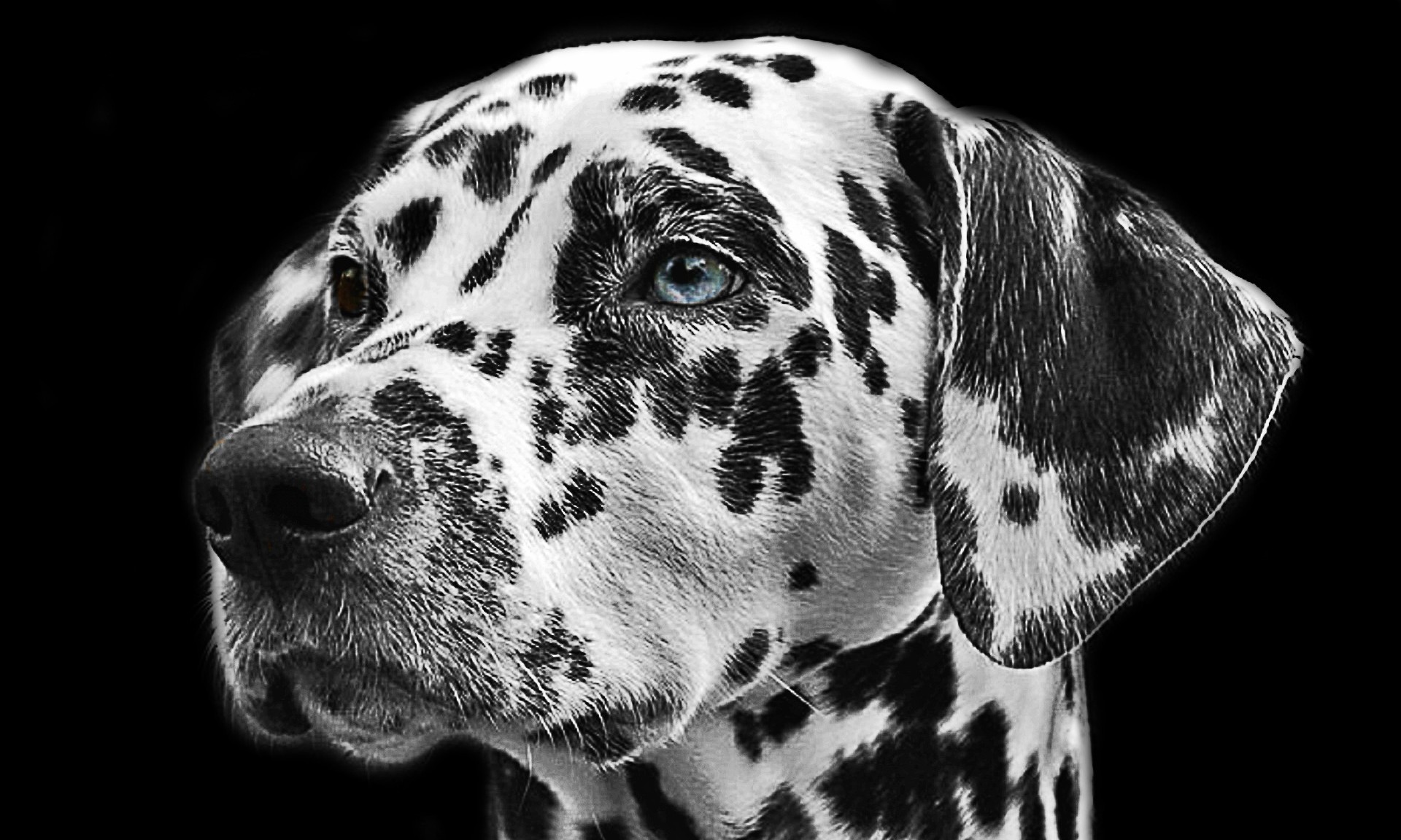 Bayer launch a ‘site‘ for sore eyes