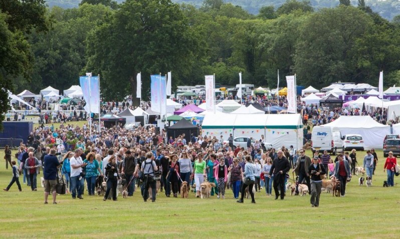 DogFest makes its TV debut