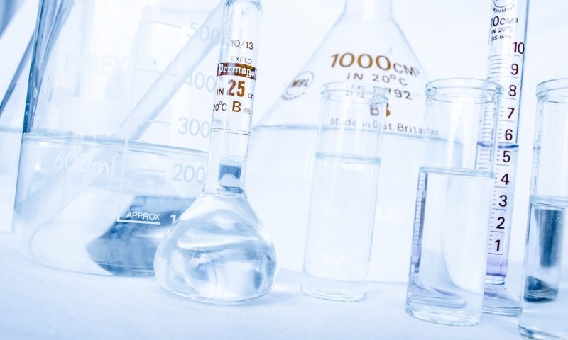 BVA survey shows a struggle in employment