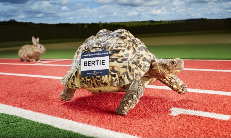 The Guinness World Records of the animal kingdom