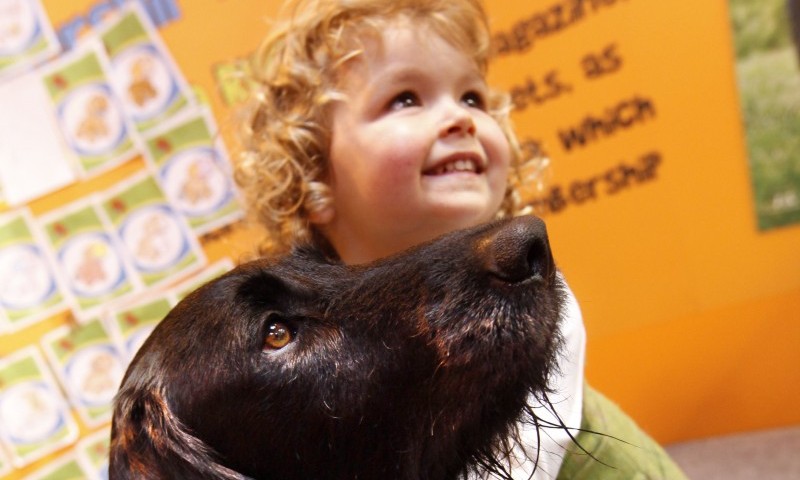 The Kennel Club’s Eukanuba Discover Dogs event takes place this weekend