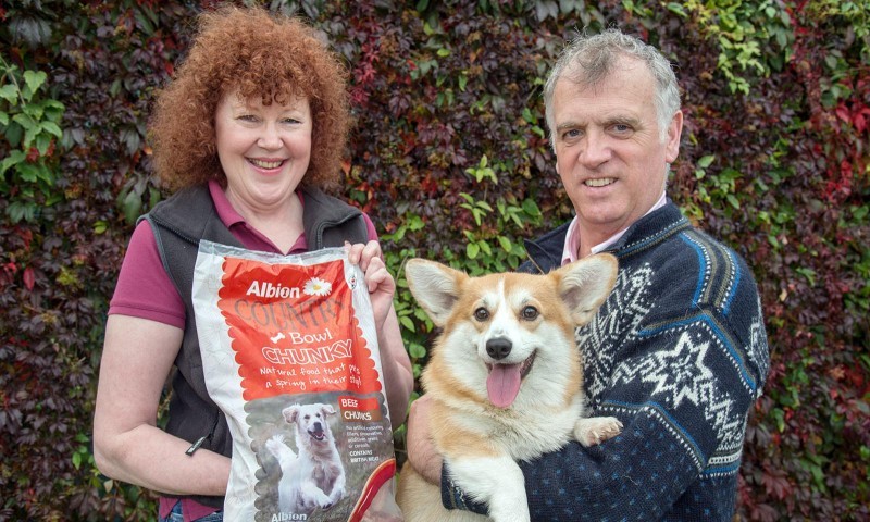 Top Corgi Breeder joins Albion Meat Products’ Sales Team