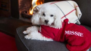 Dogrobes launches TV campaign