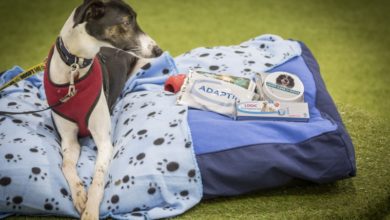 Ceva joins forces with Hope Rescue