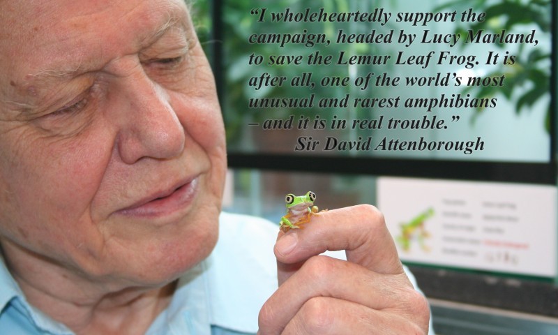 Sir David Attenborough supports nine-year-old Lucy’s fight to save Lemur Leaf Frog