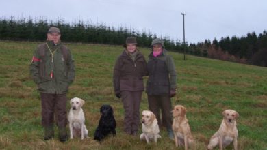 Sneyd’s Wonderdog enjoys success at I.G.L Retriever Championships
