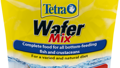 Tetra extends bottom-feeding fish food range