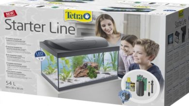 Tetra expands its range with new aquarium