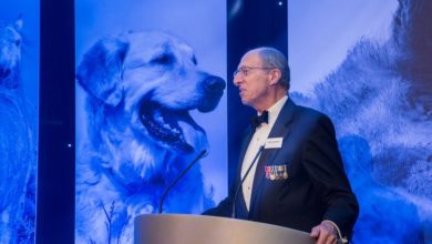 Ceva opens nominations for animal welfare awards