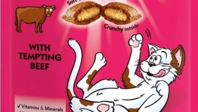 Dreamies™ updates pack design