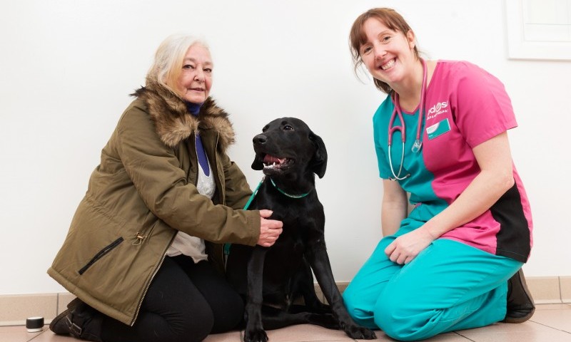 Puppy saved after swallowing a hearing aid whole