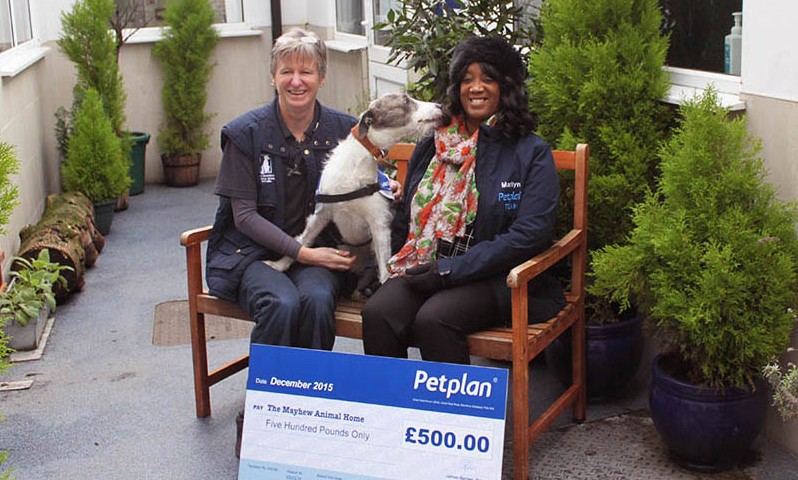 Charity feeds influx of hungry kittens thanks to donation