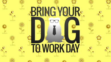 Are you ready for 2016’s Bring Your Dog To Work Day?