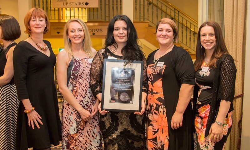 Shortlist announced for Ceva Animal Welfare Awards