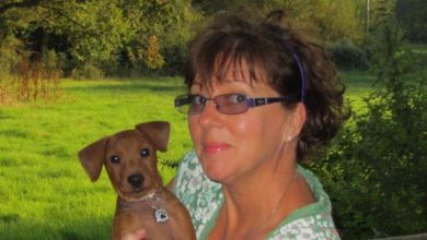 AmPet welcomes a new team member